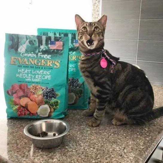 Grain Free Rabbit Dry Cat Food X4299