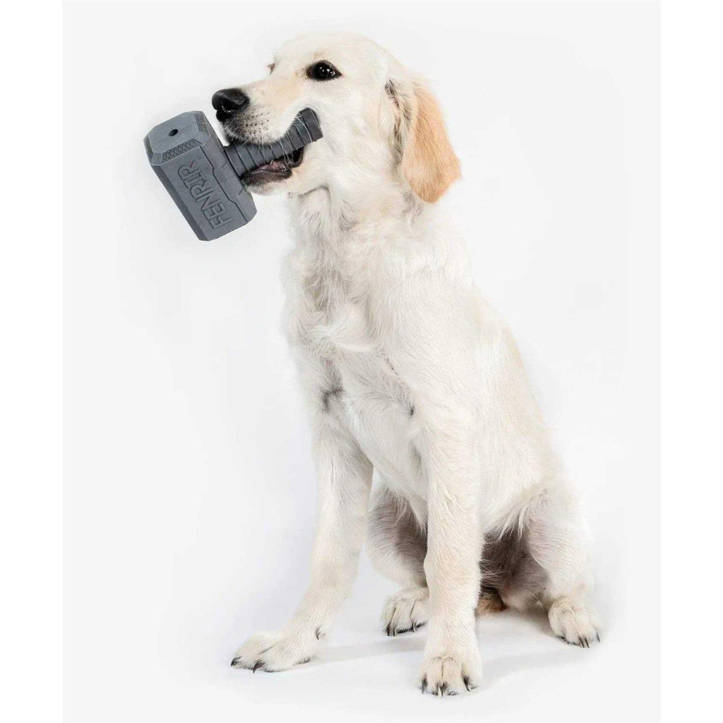 Hammer Chew Toy I866578
