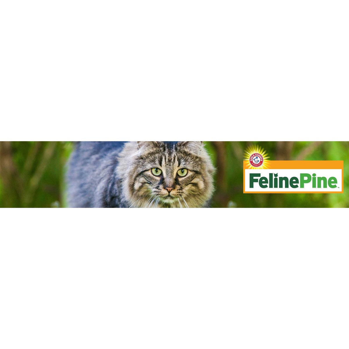 Cat Litter H406794