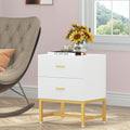 2-Drawer Nightstand with Storage Cabinet Metal Frame S3838