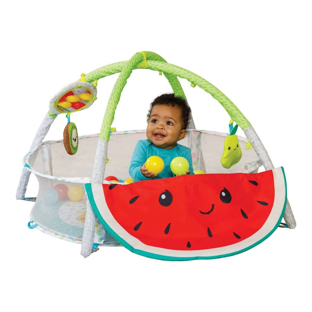 4-in-1 Ball Pit & Play Mat V691115