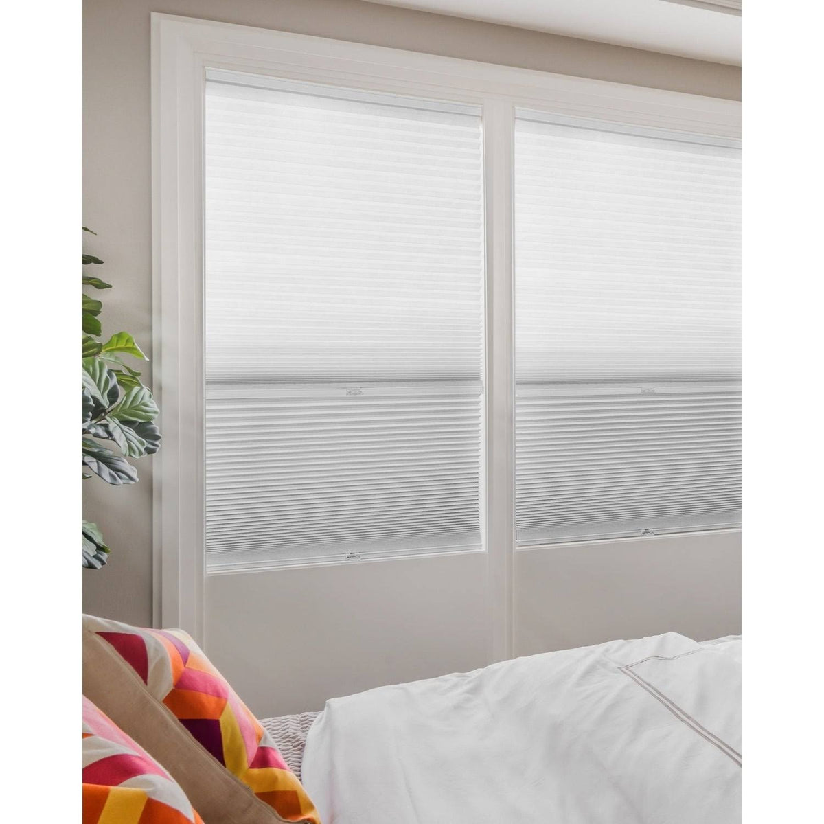Cordless Cellular Shades I177