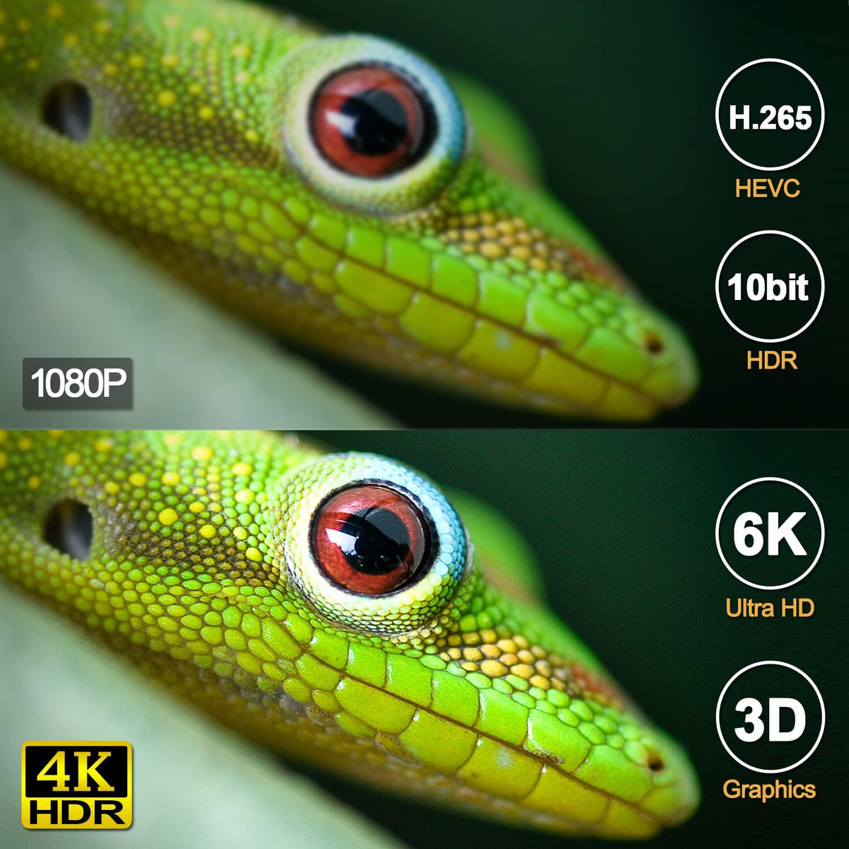2 Pack 4GB 64GB Android TV Box with Dual WiFi B28000