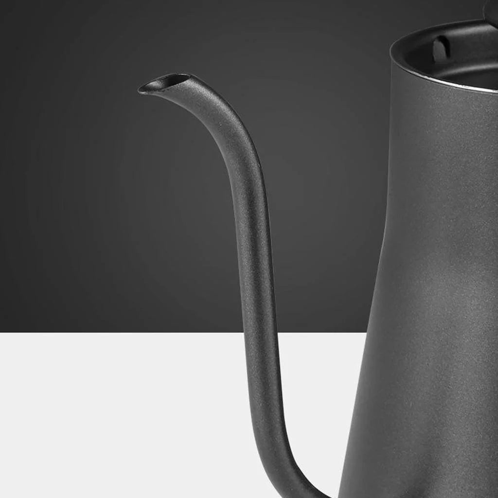 Stainless Steel Tea Kettle W8313