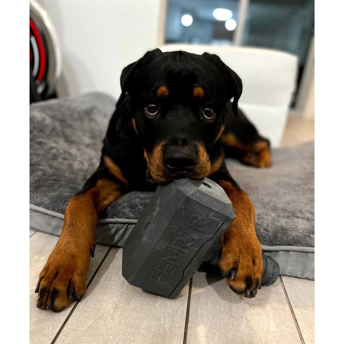 Hammer Chew Toy I866578
