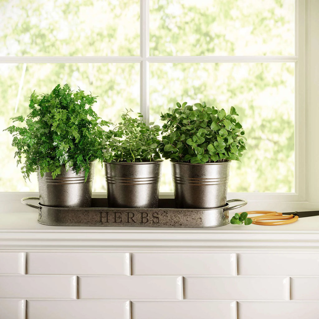 Galvanized Herb Garden Planter Set with Tray Set of 3 K951