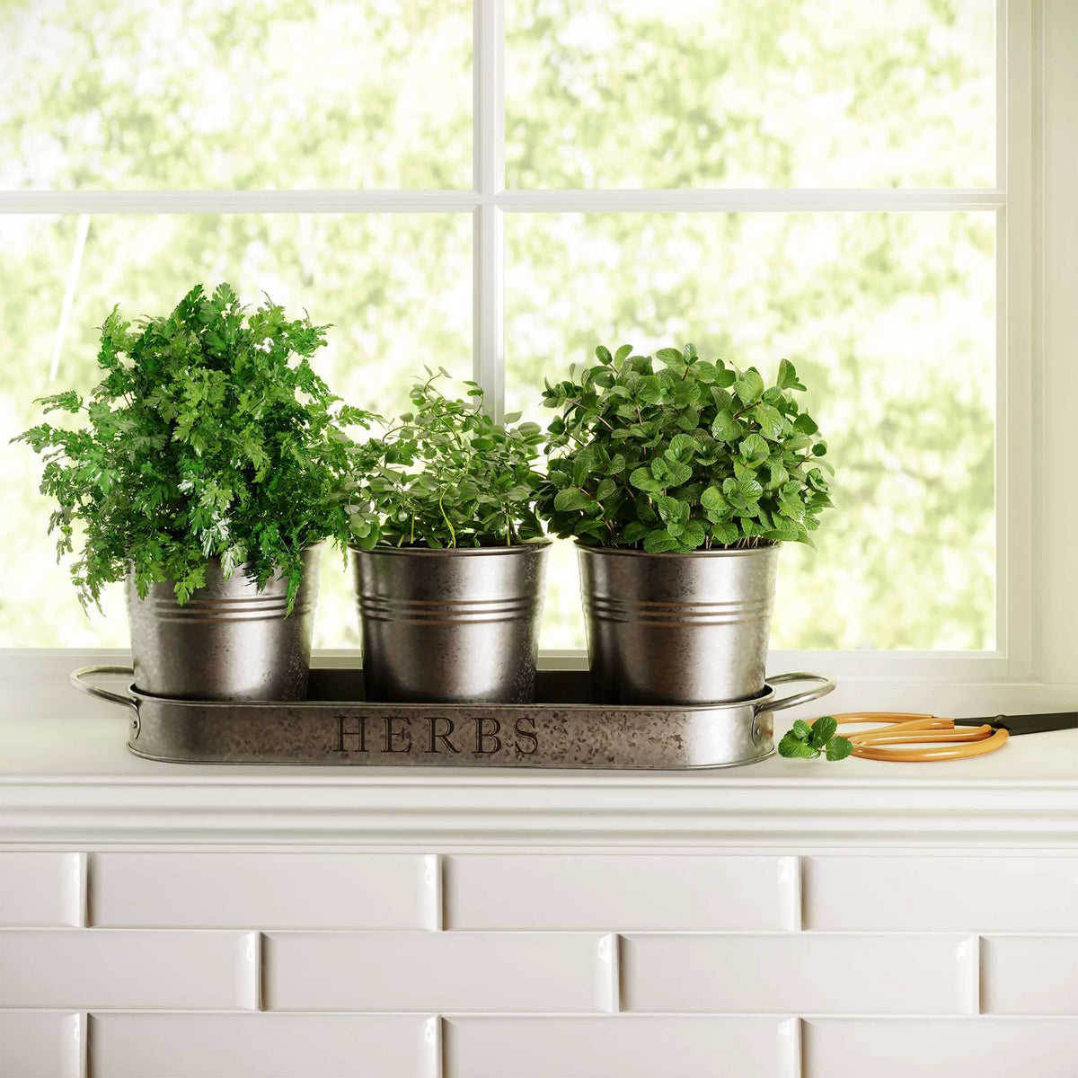 Galvanized Herb Garden Planter Set with Tray Set of 3 K951