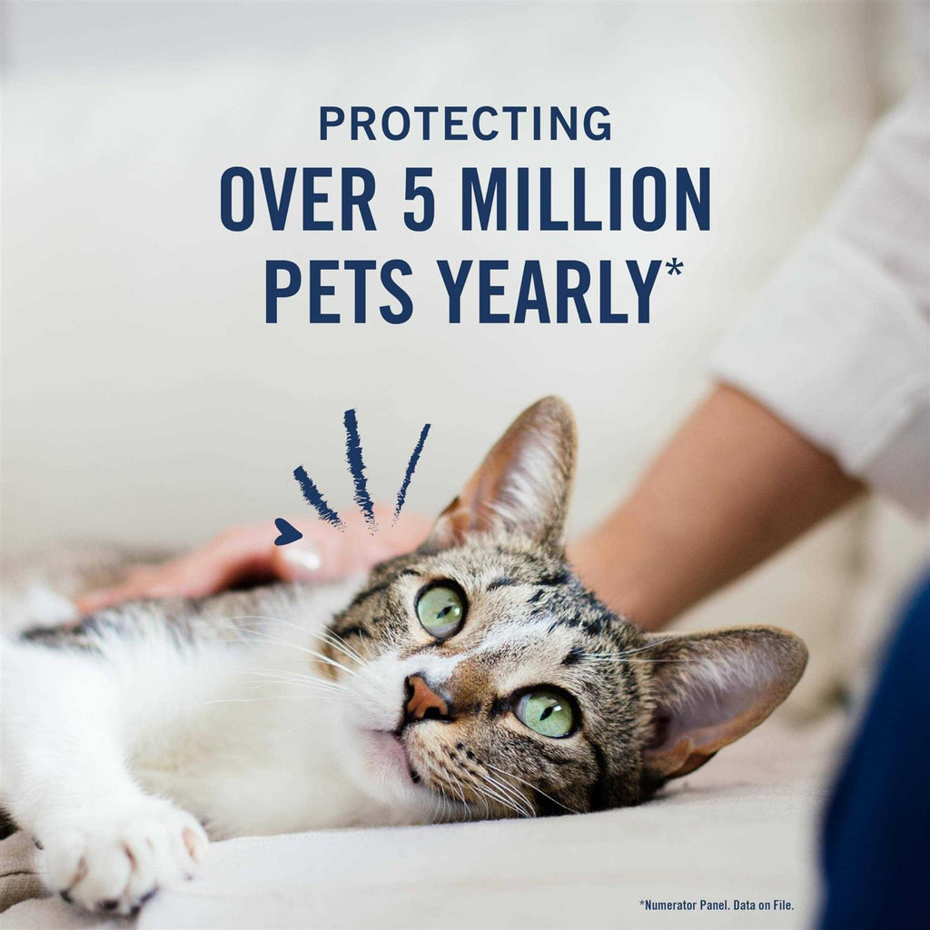 Flea and Tick Treatment for Cats E580344