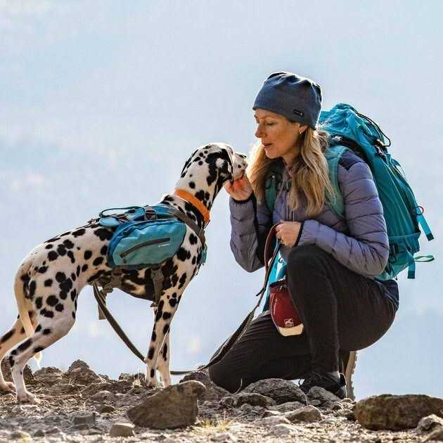 Dog Treat Bag N224771