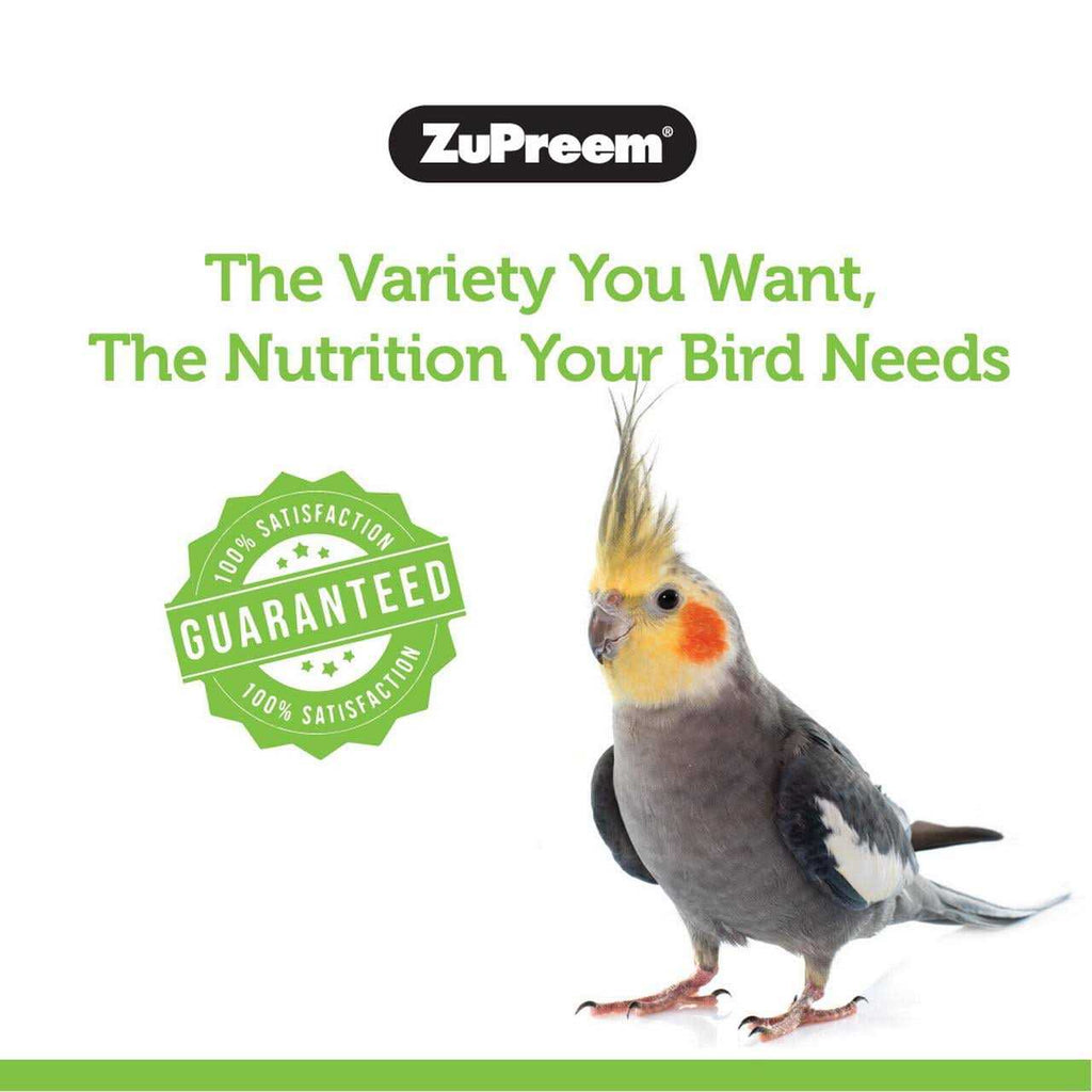Medium Birds Bird Food W9534