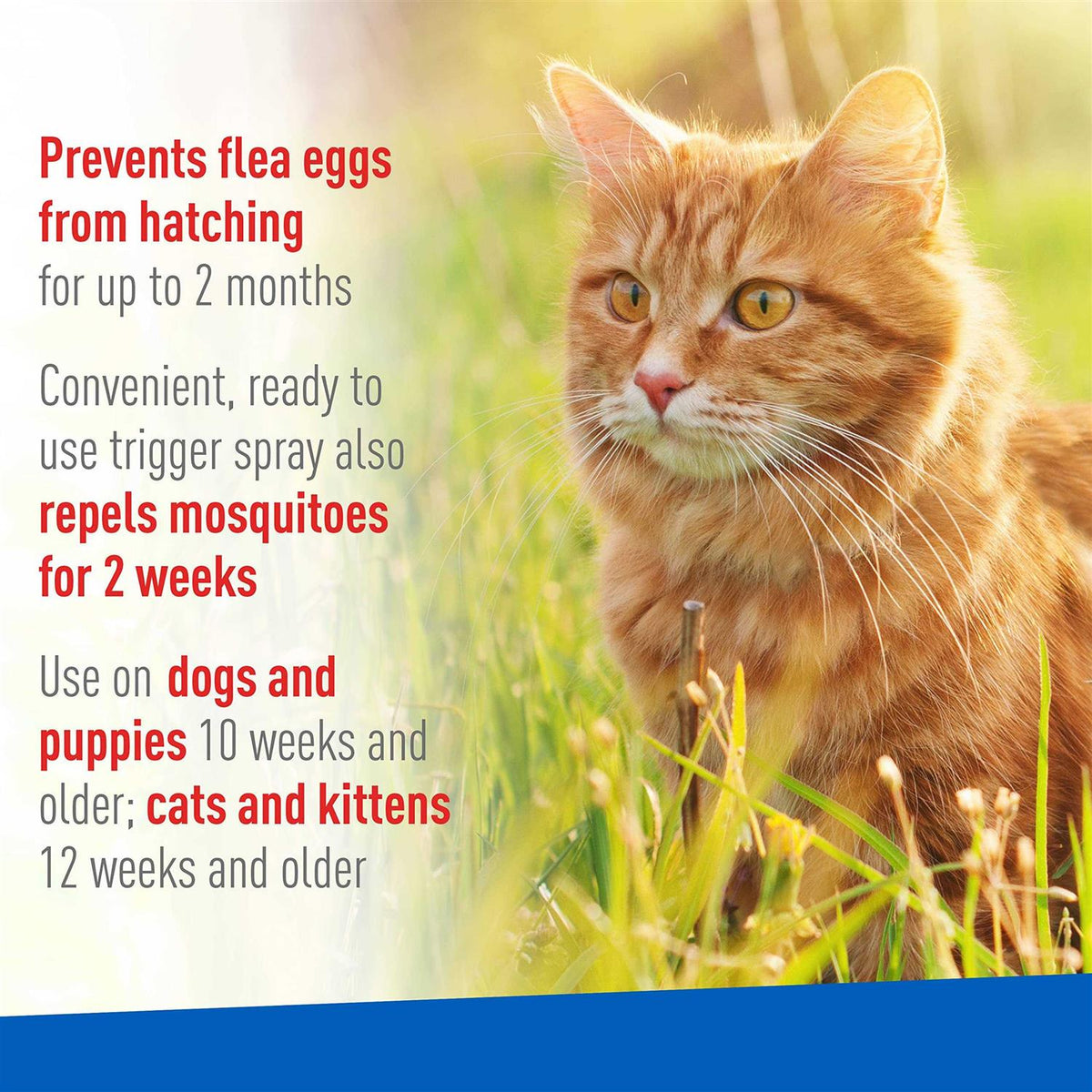 Flea Tick Spray L630475