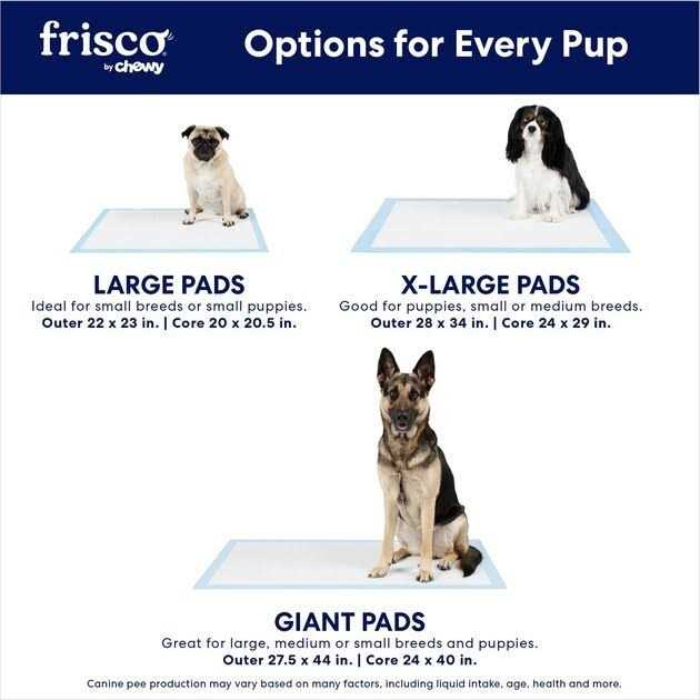 Training Potty Pads H113629