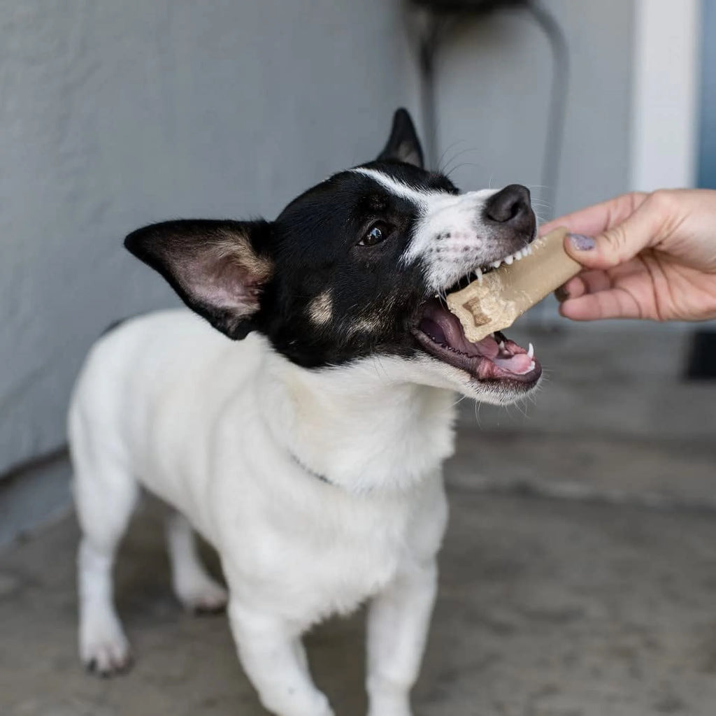 13 Oz Beef Recipe Meaty Marrow Bones For Dogs D721550