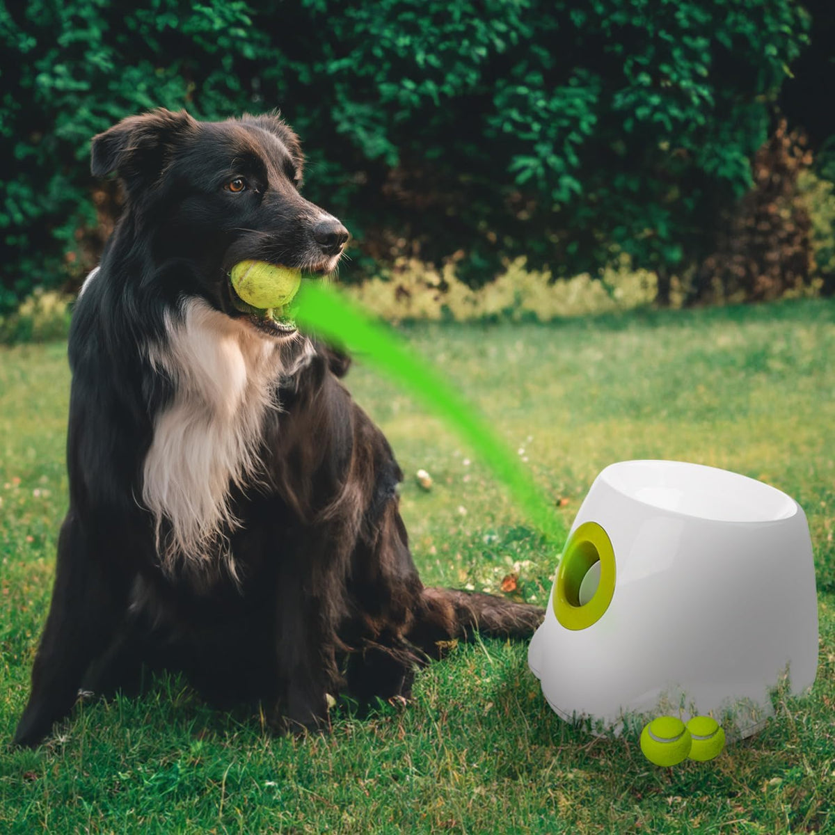 Automatic Ball Thrower for Dogs with 3 Tennis Balls K6517