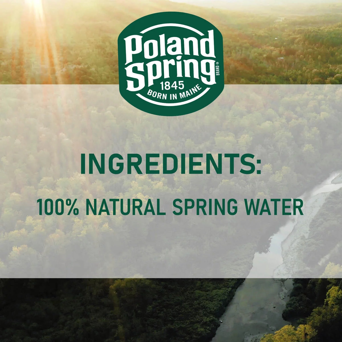 16.9 Fl Oz 40 Count Natural Spring Water Y836349