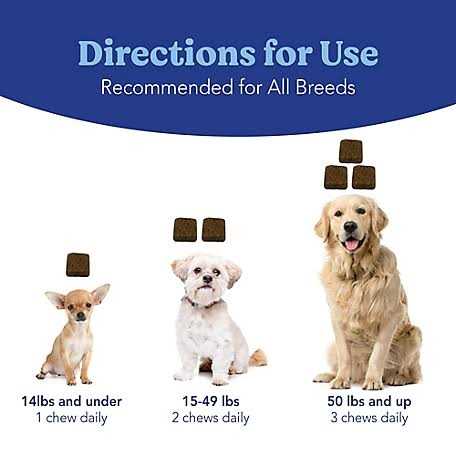 Natural Soft Chews for Dogs Y3206