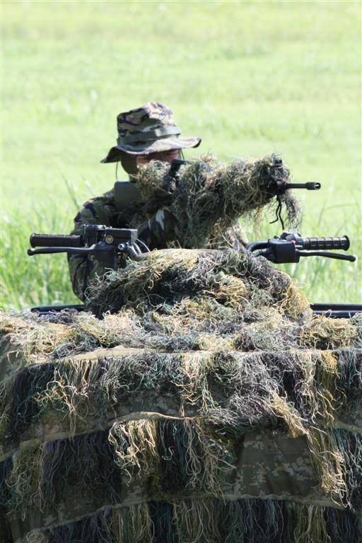 Woodland Camouflage Netting E578236