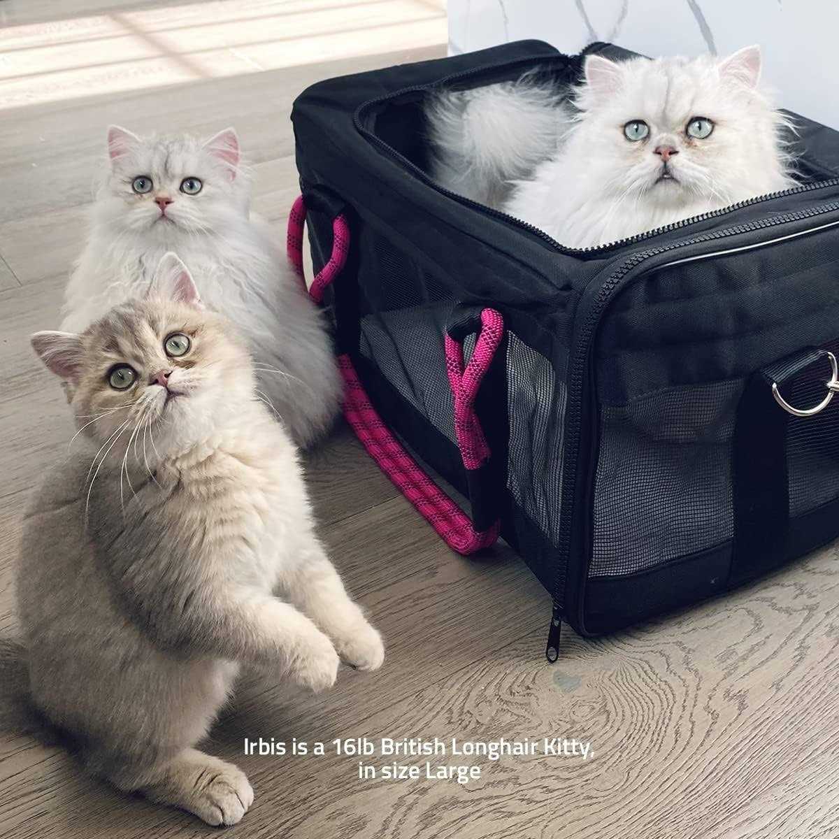 Pet Car Seat & Airline Compliant Carrier V8970
