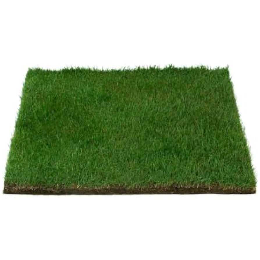 Real Grass Potty B736