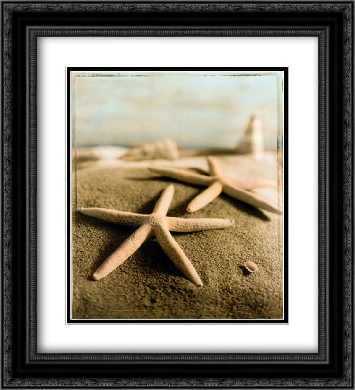 Black Ornate Framed Art Print V857