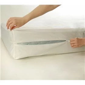 King Plush Pillowtop Mattress Set with Mattress Cover E5907