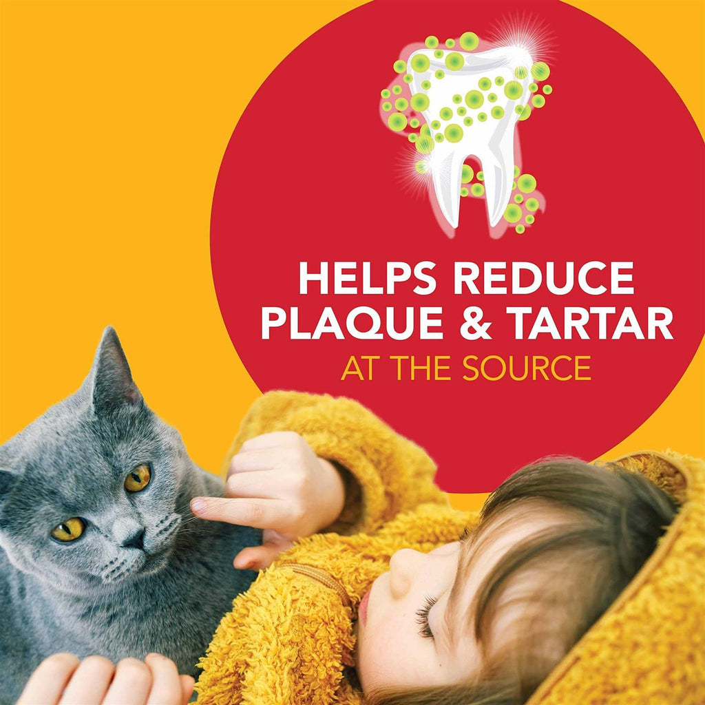 Dental Kit for Cats P50453