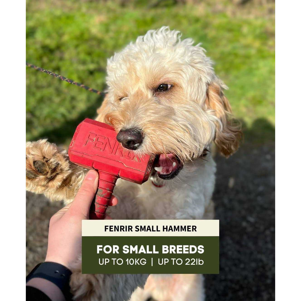 Hammer Chew Toy I866578