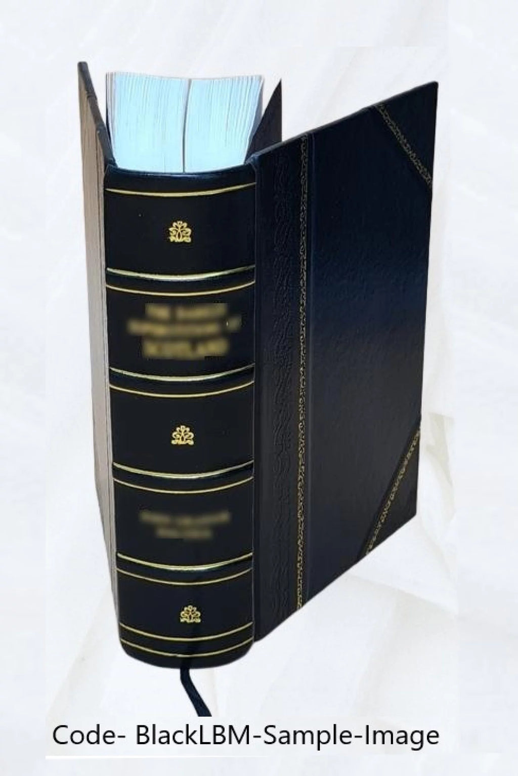 Instantaneous Total Pressure Compressor Face Contour Maps C2801