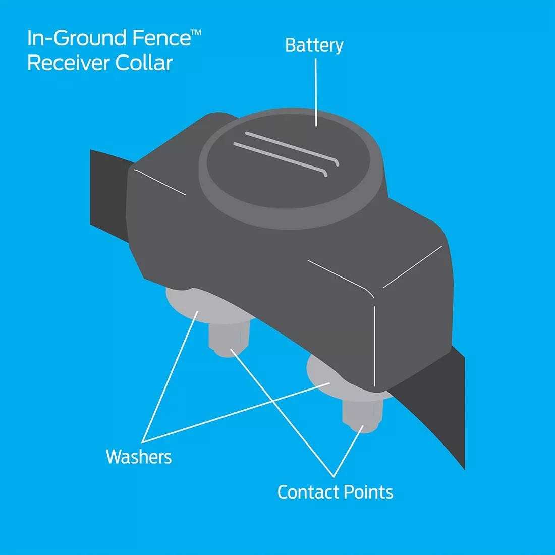 In-Ground Fence Add-A-Dog Collar V600