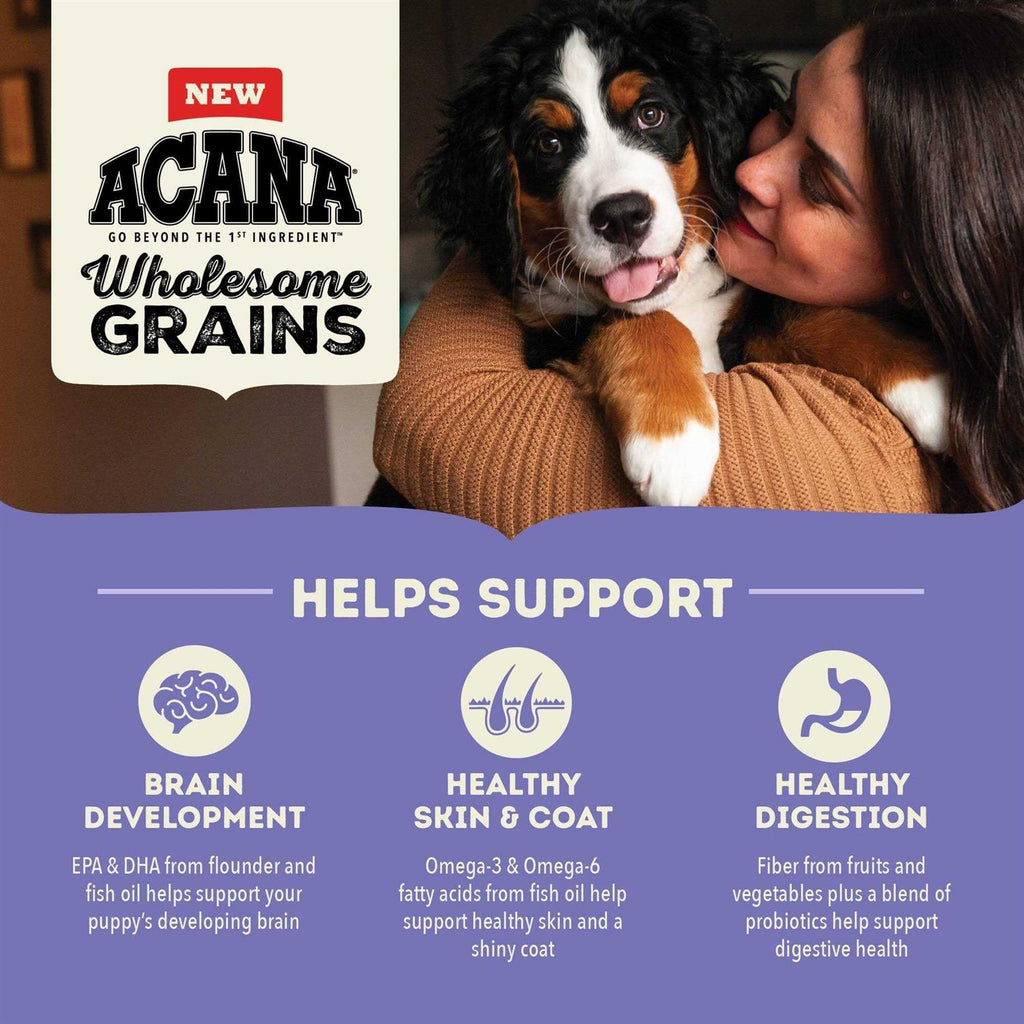 Dry Dog Food V201