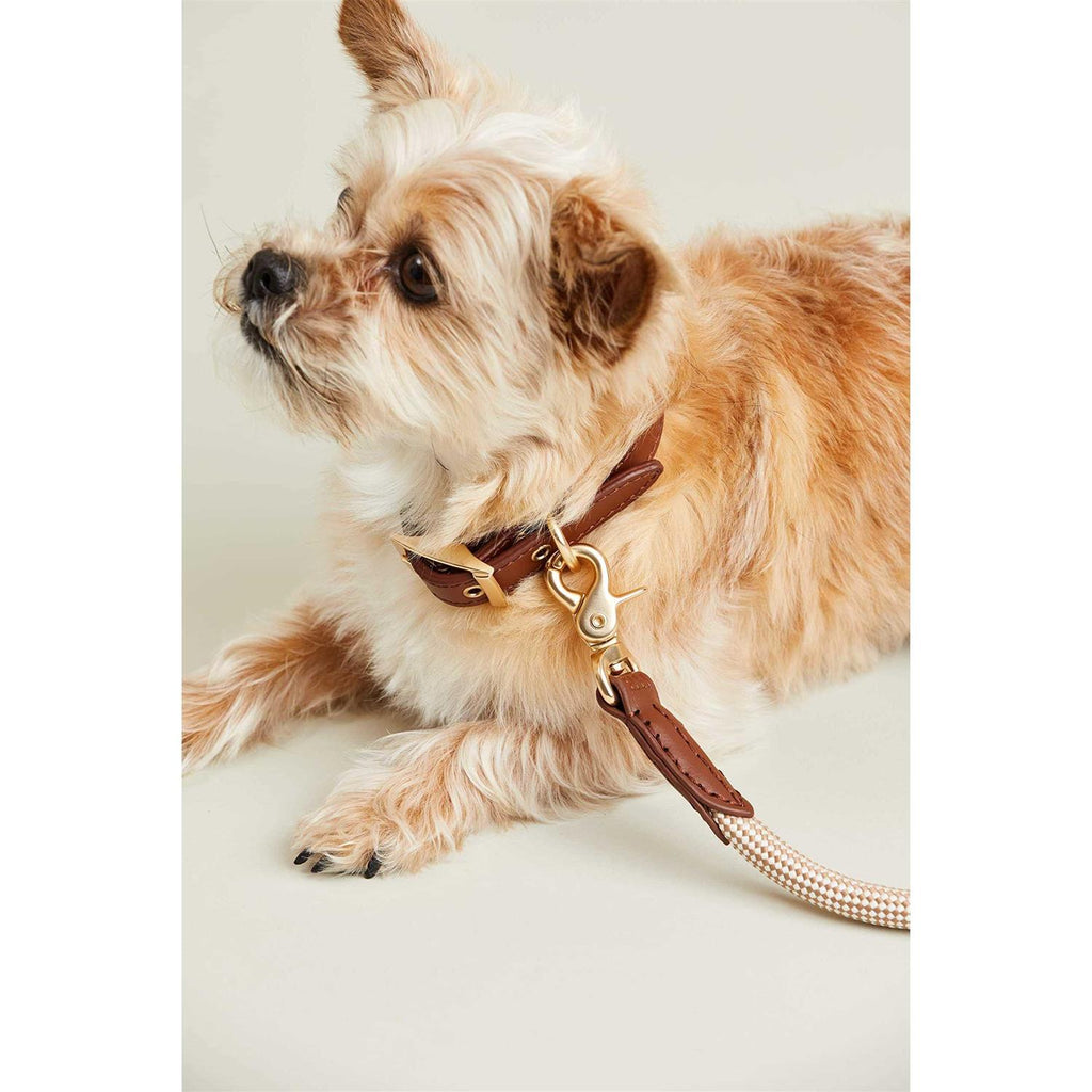Check Rope Dog Leash L4940