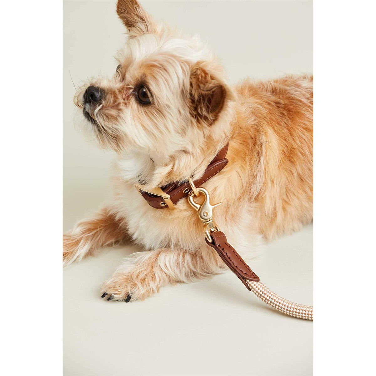 Check Rope Dog Leash L4940