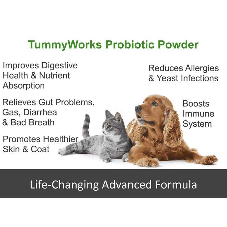 Probiotic Powder for Dogs & Cats B8696