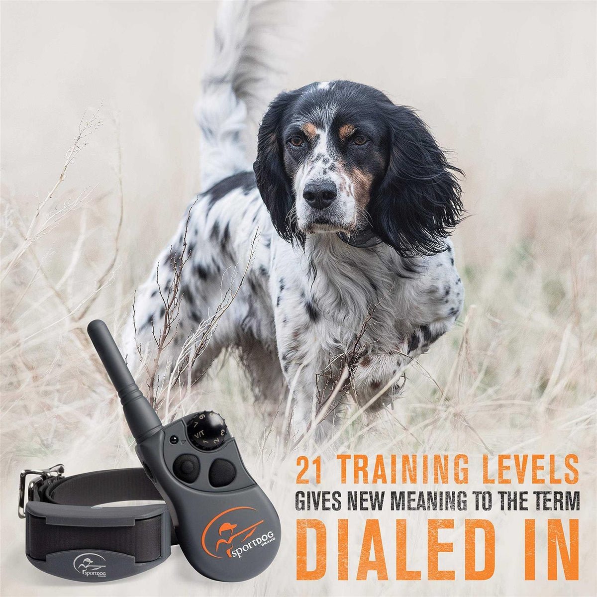 FieldTrainer S2385