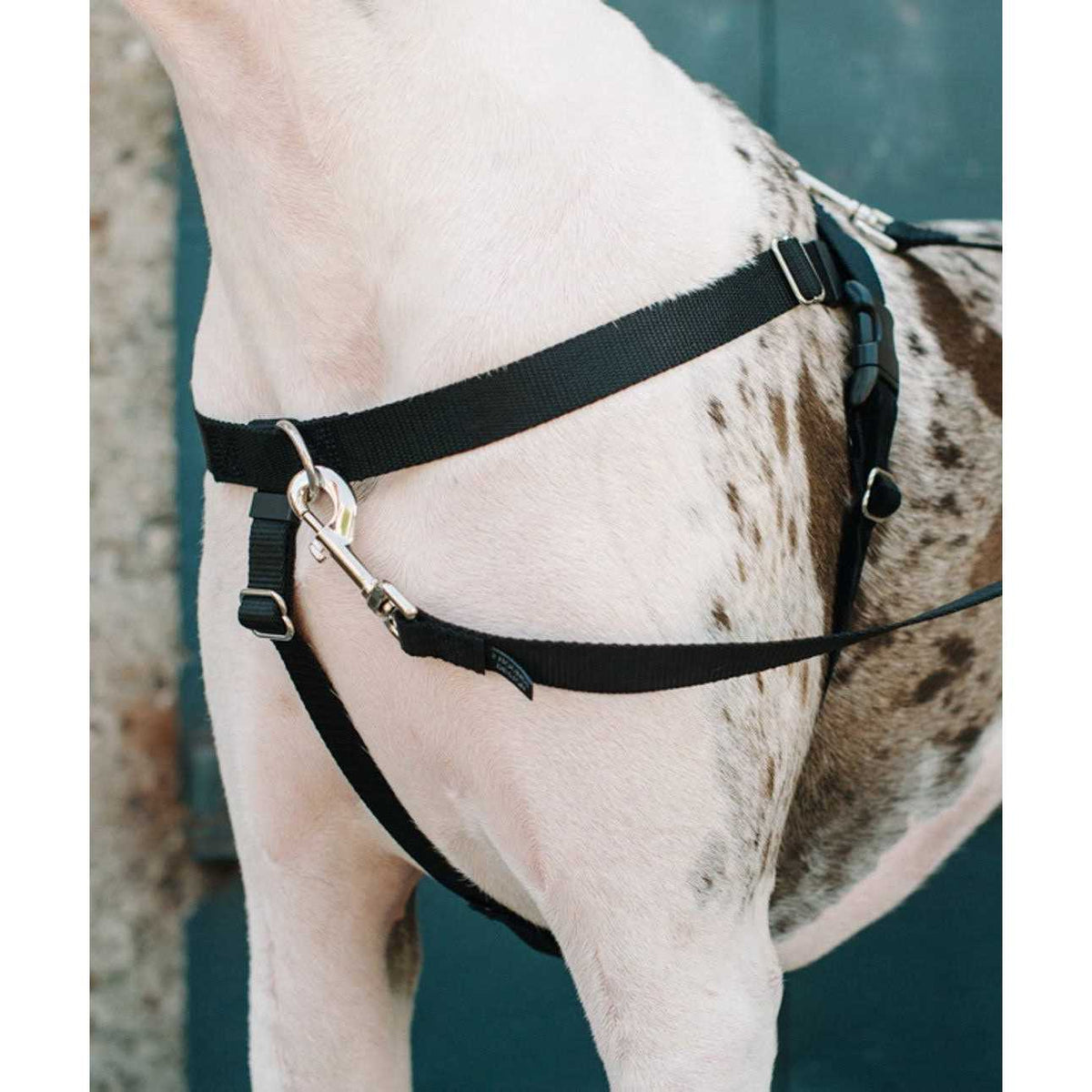 No Pull Dog Harness Leash T49356