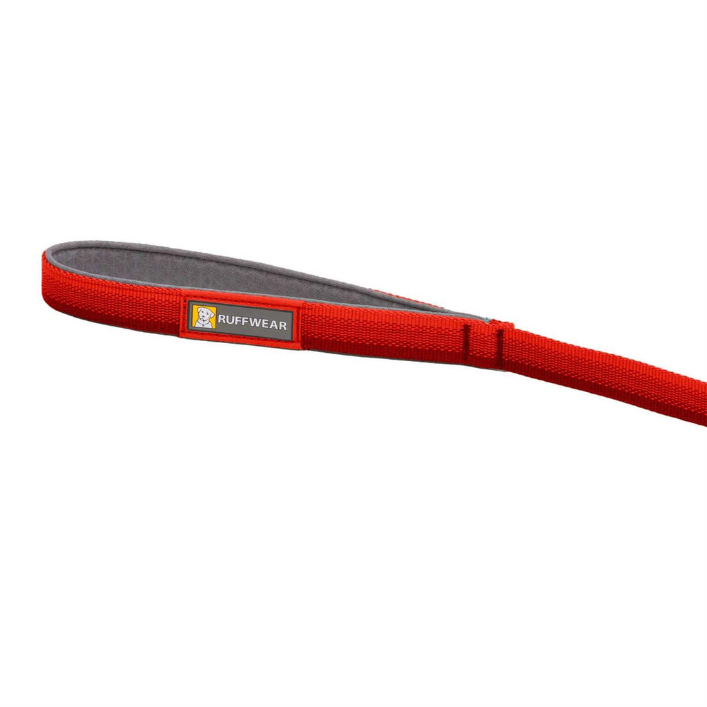 Leash E54173