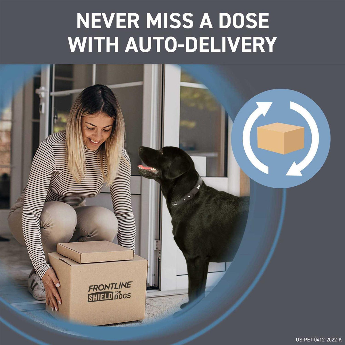 Flea & Tick Treatment for Dogs I48117
