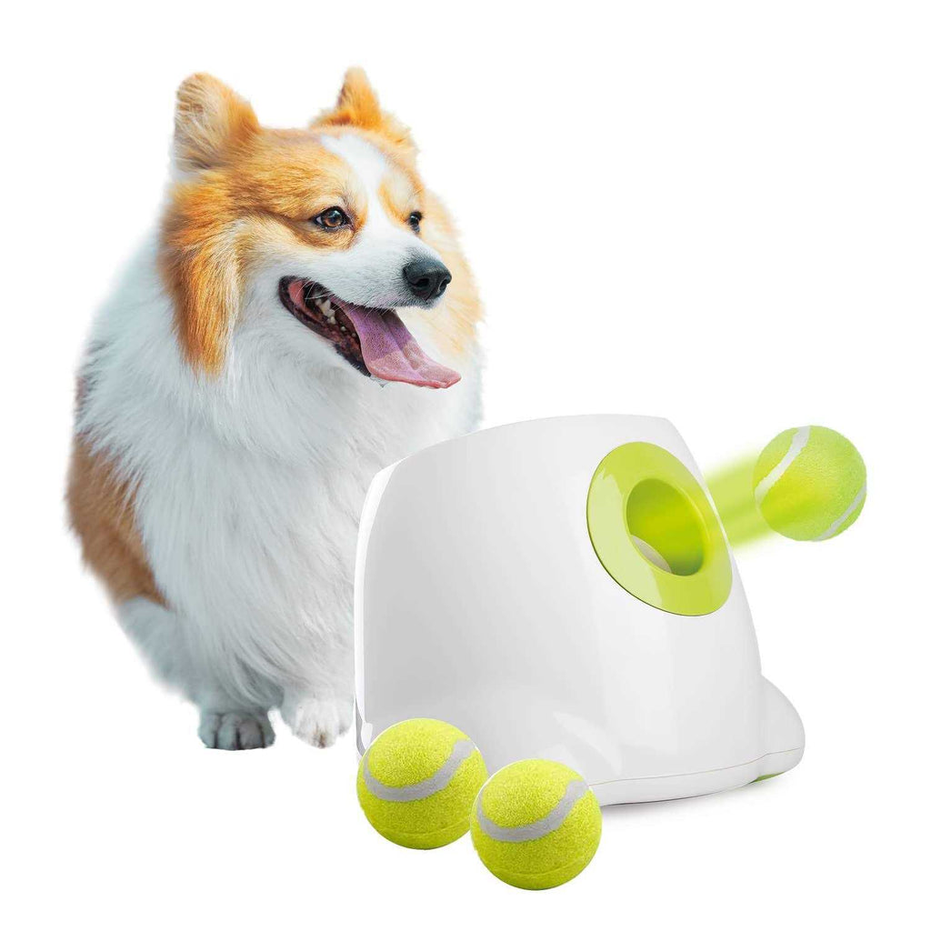 Automatic Ball Launcher for Dogs with 3 Tennis Balls P762551