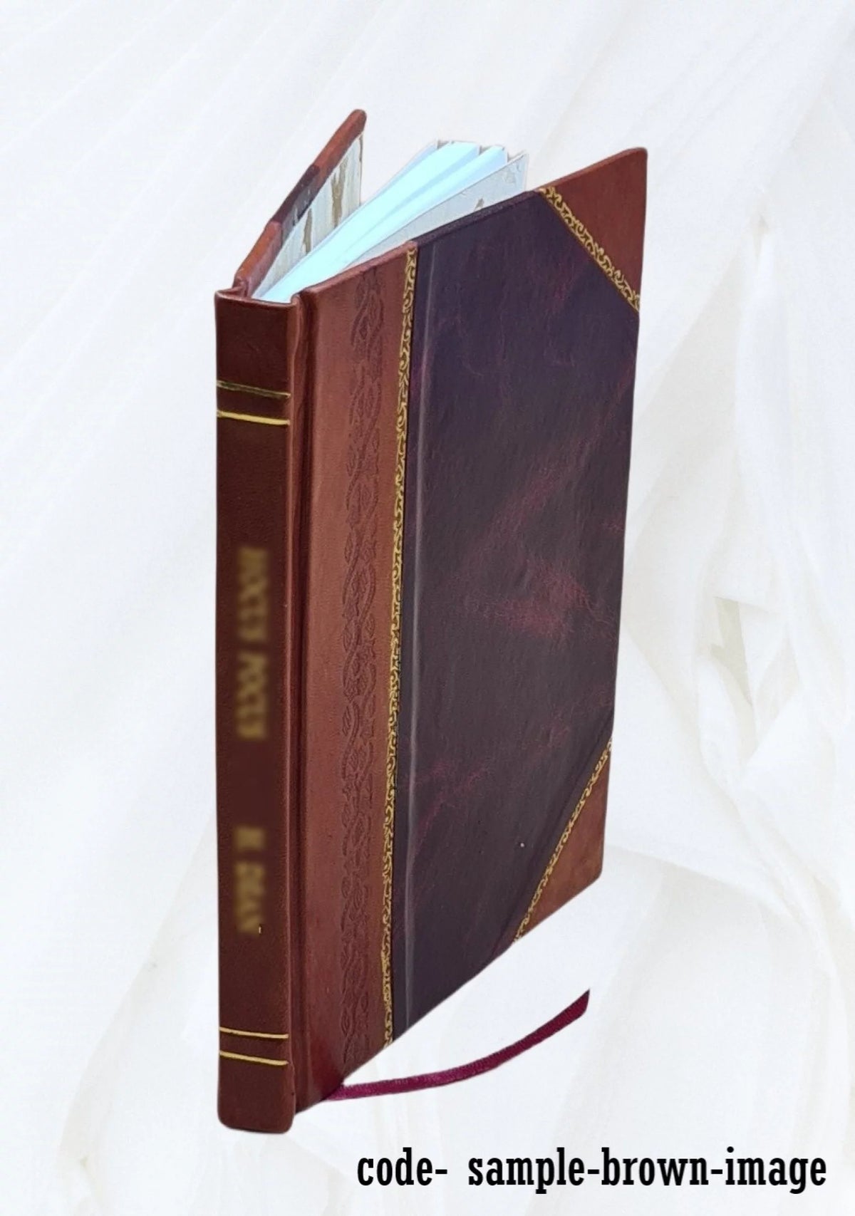 Mémoire explicatif du zodiaque chronologique et mythologique Z37580