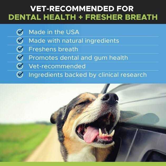 Oral Hygiene Dental Water 3-Pack 24 Ounces Pet Supplements D770