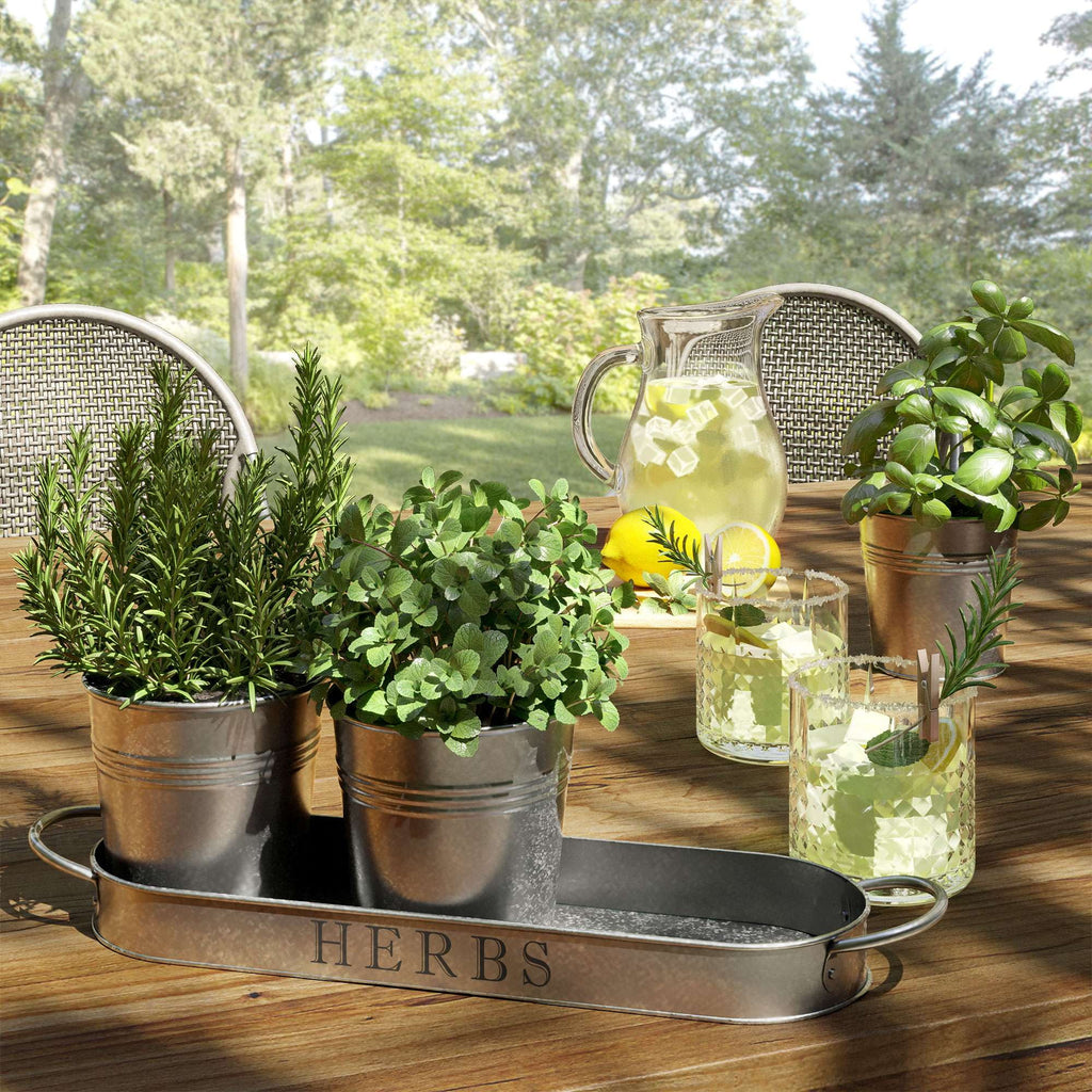 Galvanized Herb Garden Planter Set with Tray Set of 3 K951