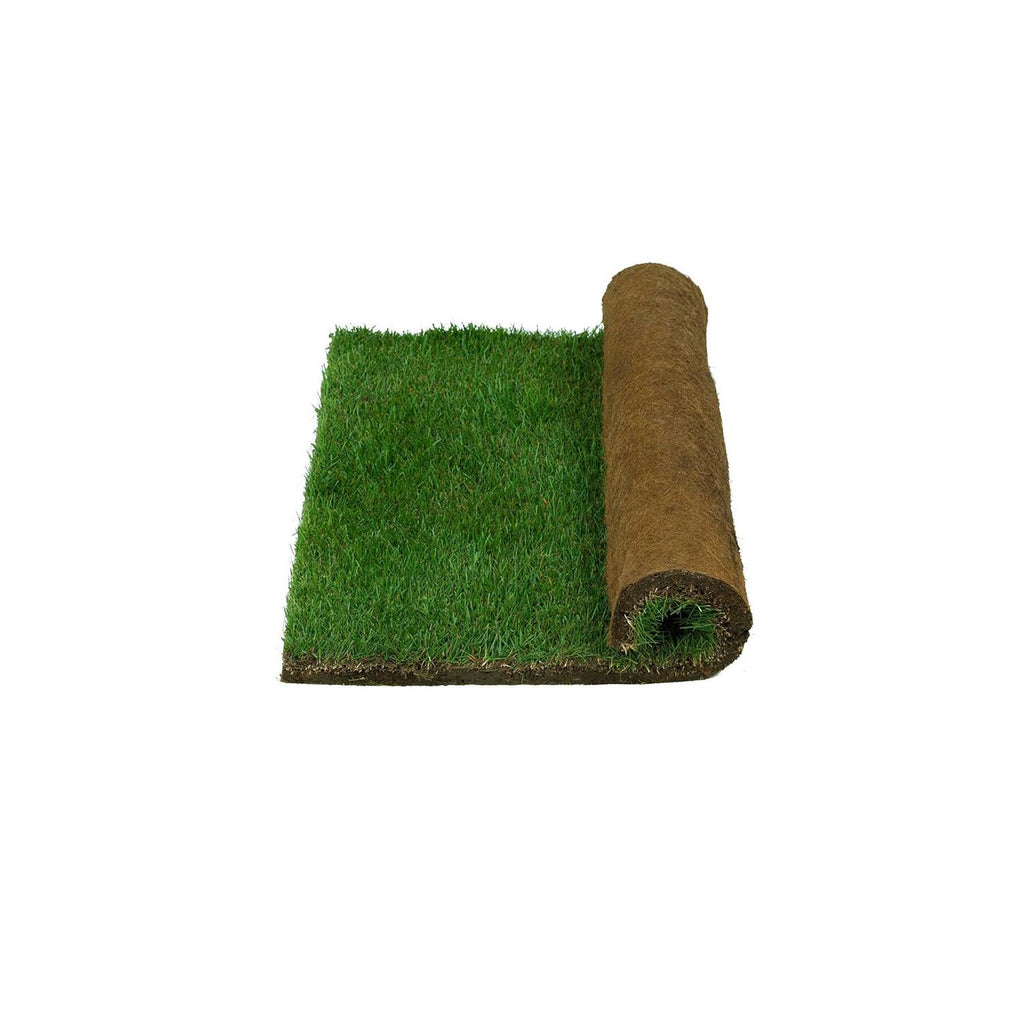 Real Grass Potty B736