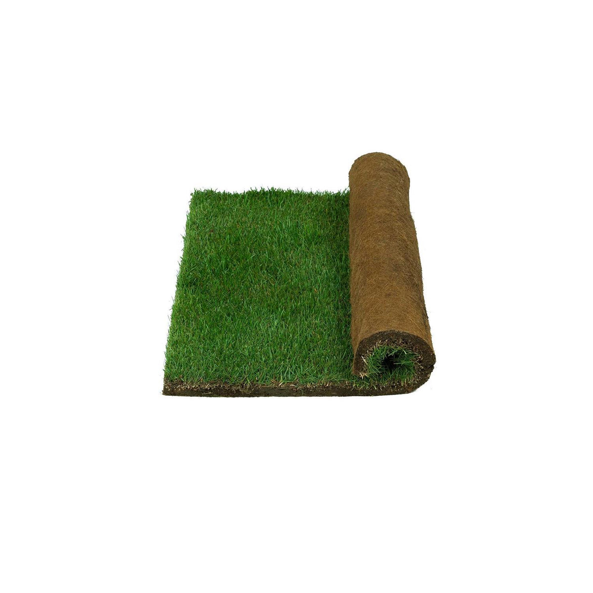 Real Grass Potty B736