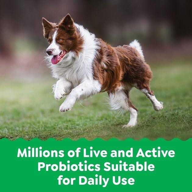 Probiotics for Dogs Chicken Flavor D6473