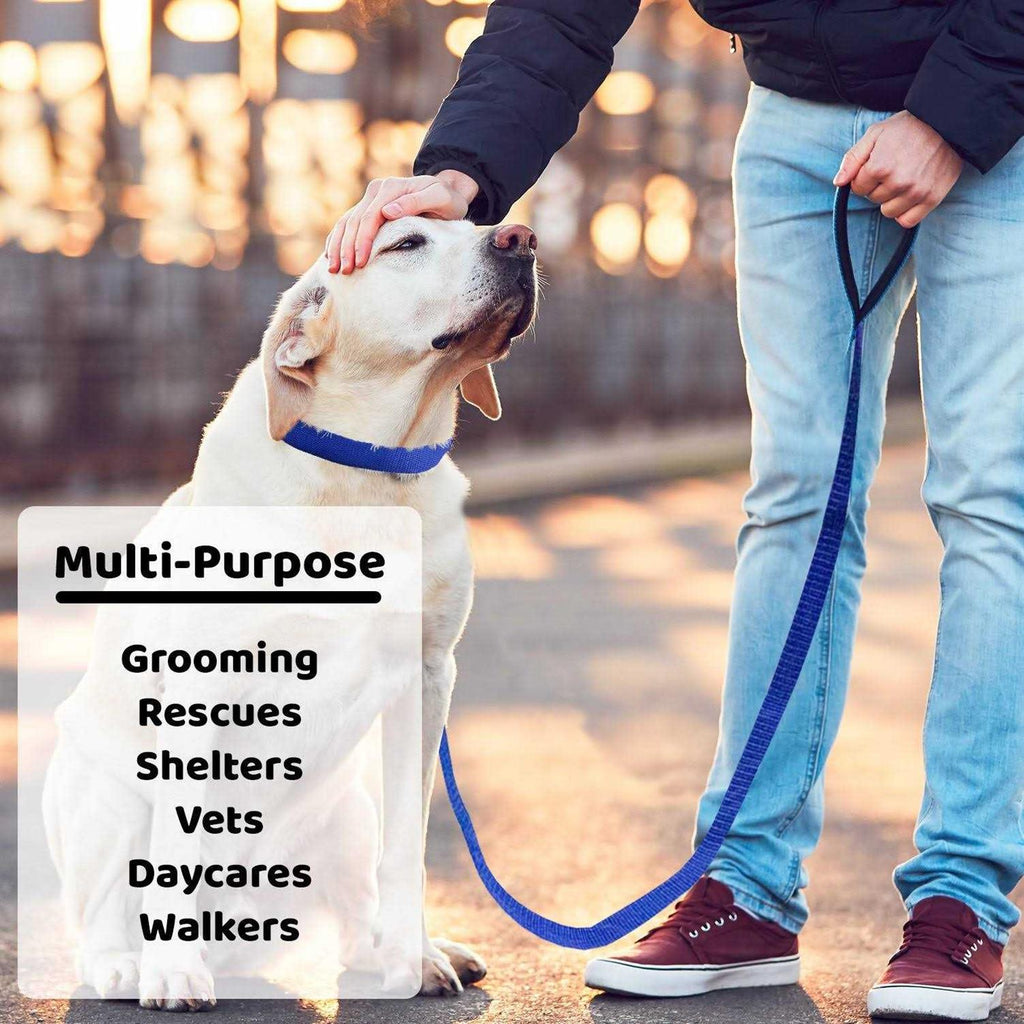 Dog Slip Lead Dog Leash I844