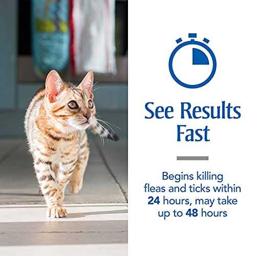 Flea and Tick Treatment for Cats E580344