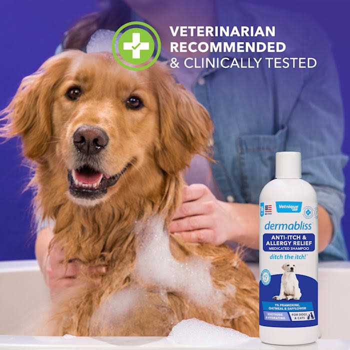 Anti-Itch & Allergy Relief Medicated Shampoo 16oz T1164