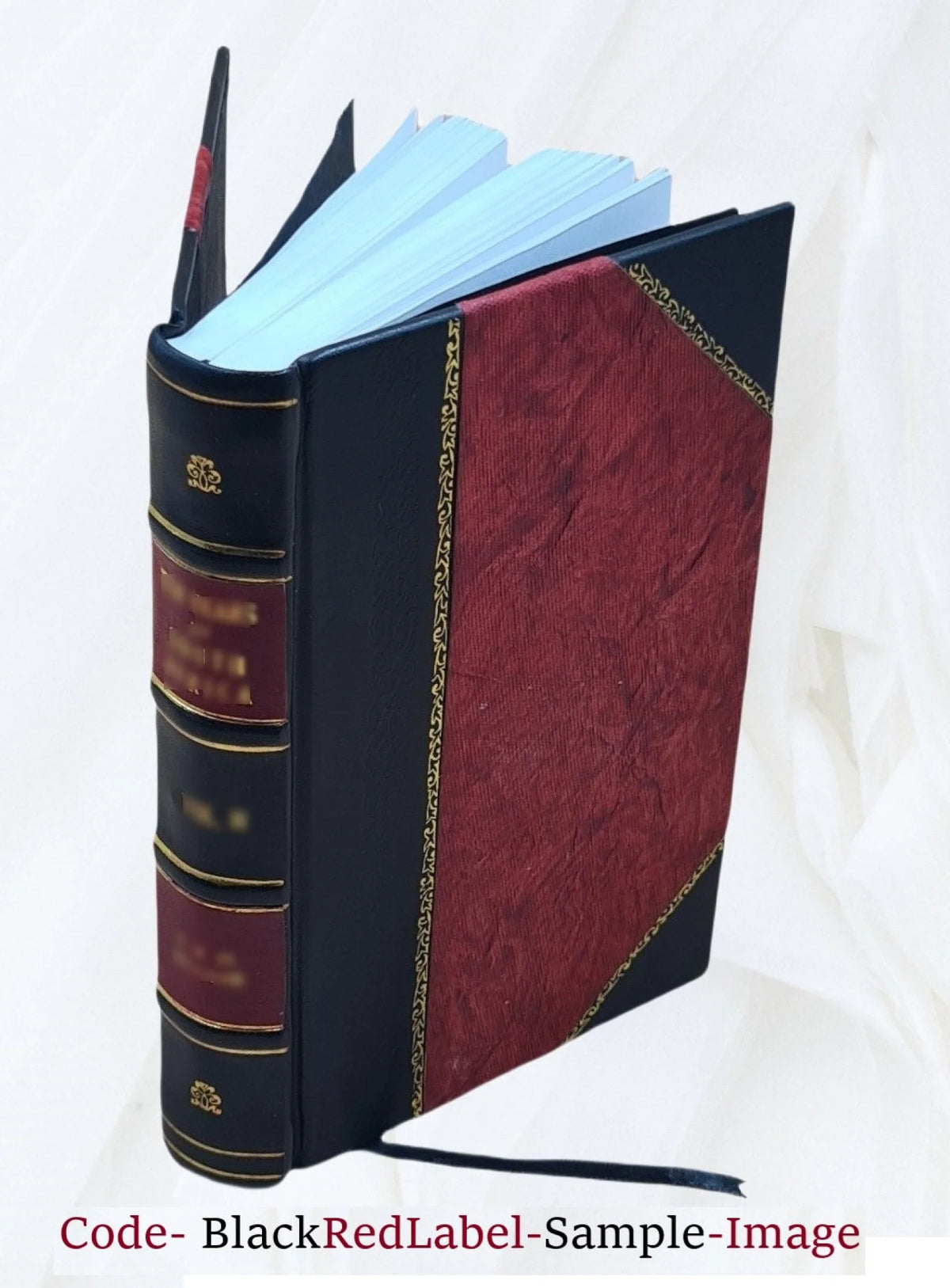 Leather Bound Book F979