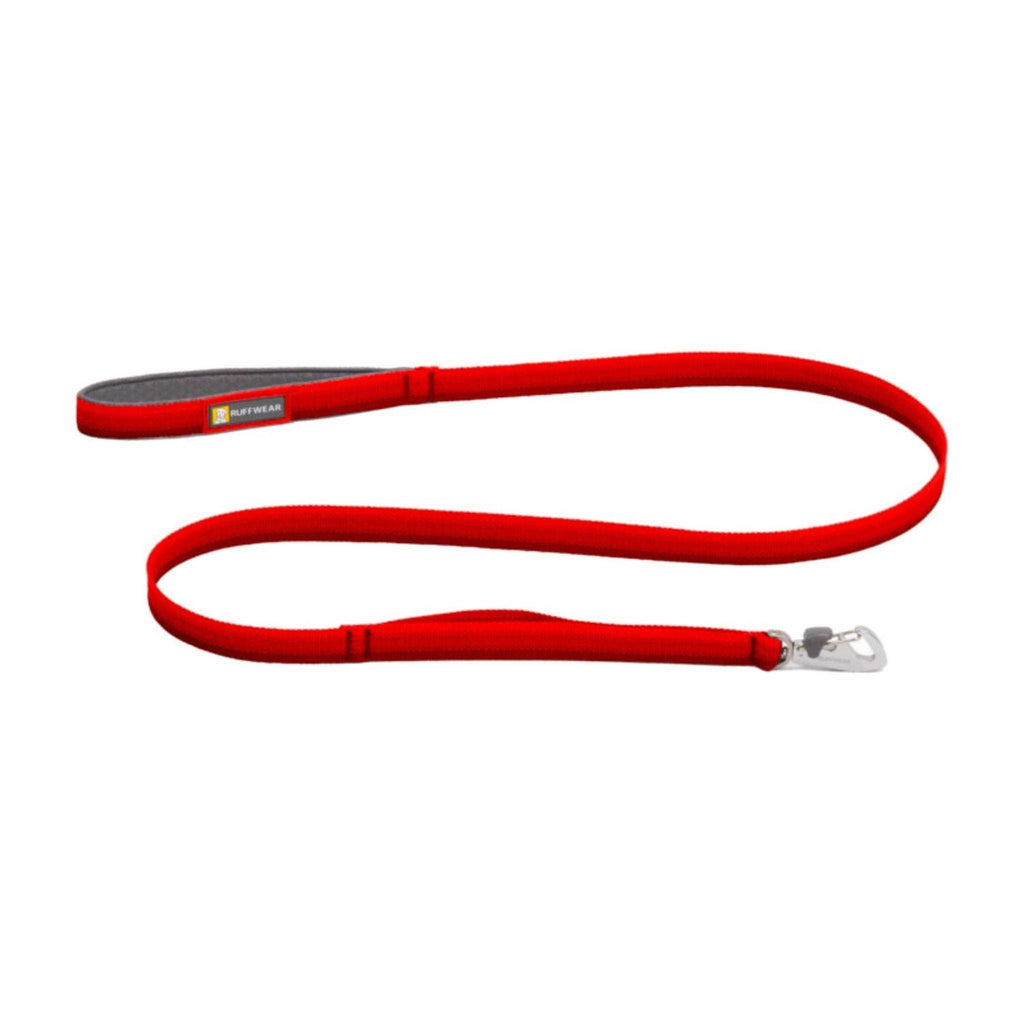 Leash E54173