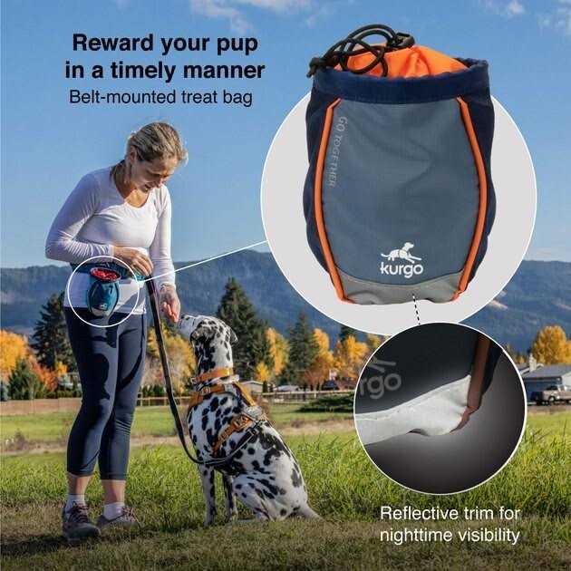 Dog Treat Bag N224771